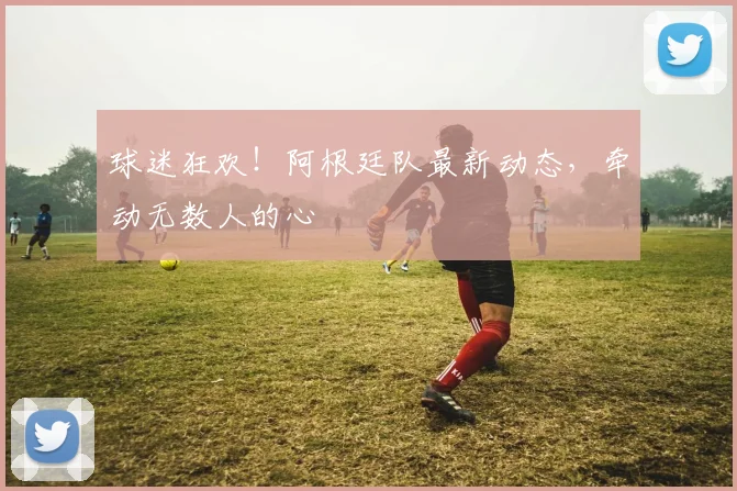 球迷狂欢!阿根廷队最新动态,牵动无数人的心