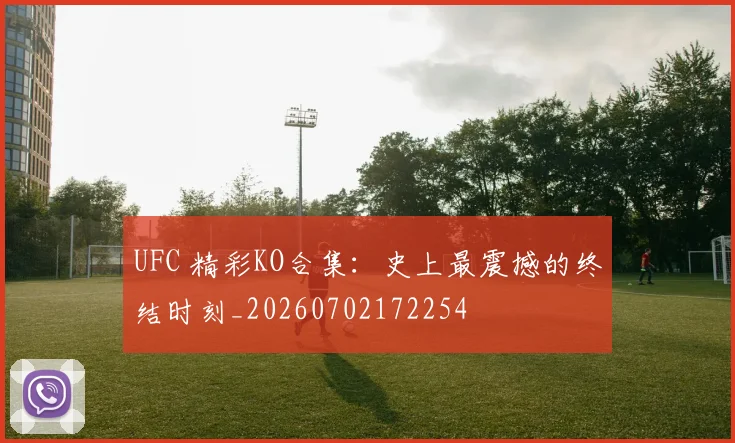 UFC 精彩KO合集:史上最震撼的终结时刻_20260702172254
