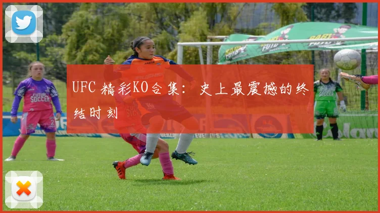 UFC 精彩KO合集：史上最震撼的终结时刻